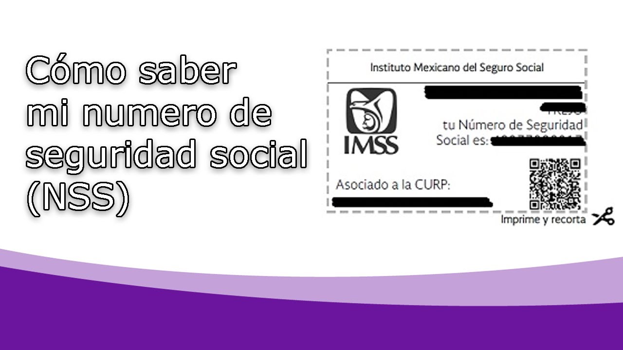 TRAMITE NUMERO SEGURIDAD SOCIAL (nss)
